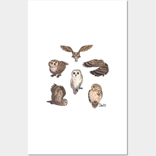 Khaki Owls Posters and Art